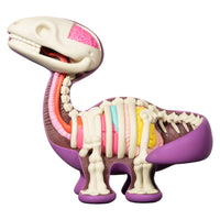 Dissected Bronto (6 inch edition)