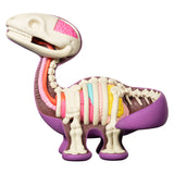Dissected Bronto (6 inch edition)