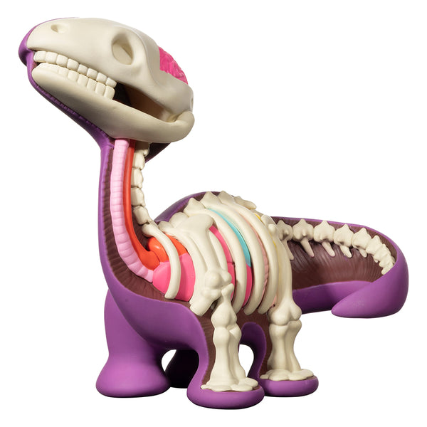 Dissected Bronto (6 inch edition)